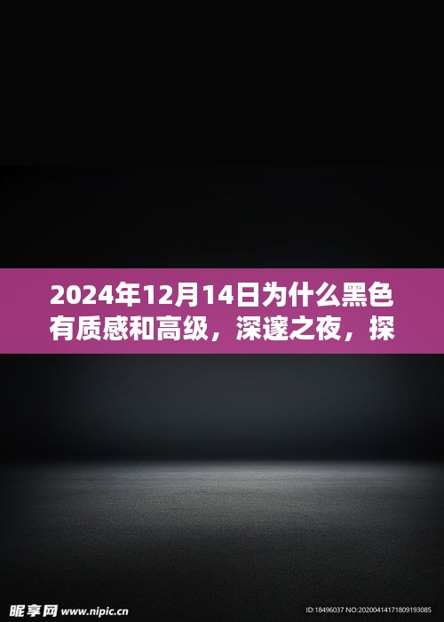探寻黑色质感的高级地位，以2024年12月14日为节点，解析黑色魅力背后的时代浪潮