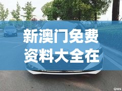 新澳门免费资料大全在线查看352期：丰富参考资料的绝佳去处