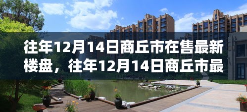 往年12月14日商丘市最新楼盘概览，购房者的理想选择指南
