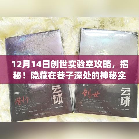 揭秘神秘创世实验室，12月14日攻略开启奇妙之旅！