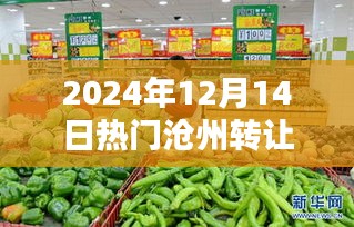 2024年沧州热门超市转让指南，购买流程与超市转让全流程详解