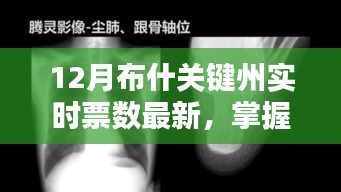 12月布什关键州实时票数跟踪，最新动态与指南