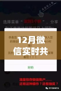 揭秘十二月微信流量共享，实时互动，畅享网络世界