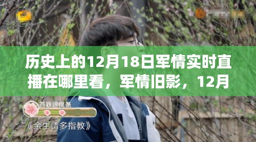 六鹢退飞 第2页