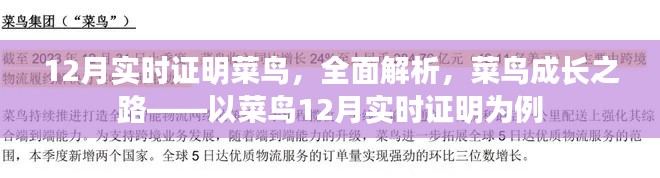 菜鸟成长之路，深度解析菜鸟12月实时证明之路的蜕变历程