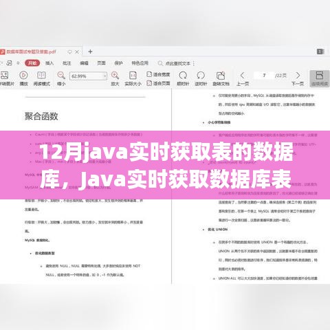 Java实时获取数据库表数据指南，从入门到精通的步骤详解