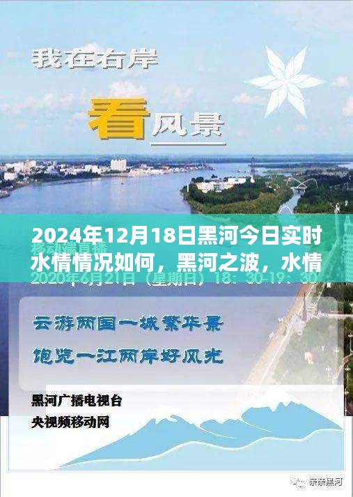 黑河今日水情，温情与欢笑的交织