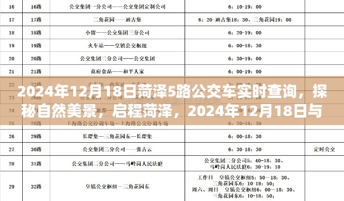 自然美景探秘