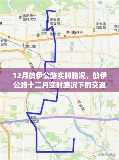删华就素