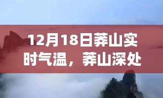 龙飞九五 第2页