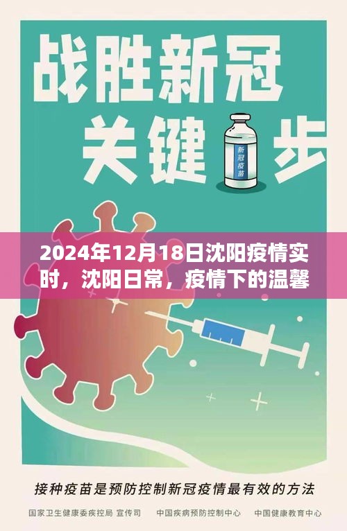 沈阳疫情下的温馨时光与友情纽带，日常实录与实时更新（2024年12月18日）