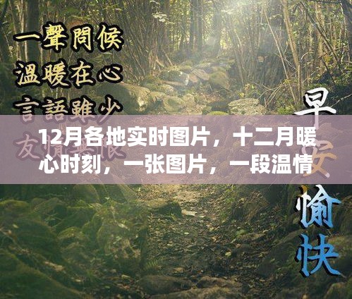 张皇失措 第2页