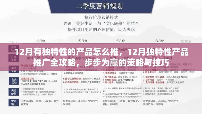步步为赢，12月独特性产品推广全攻略与策略技巧