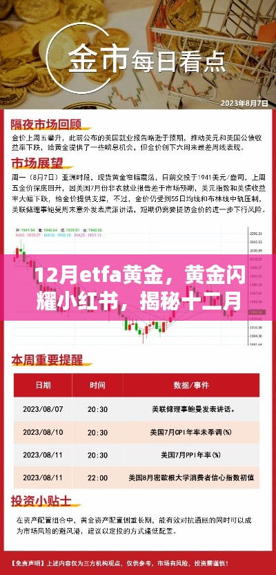 熊经鸟申 第2页