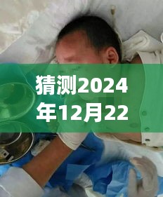 辛怡康复日记热门动态预测指南，初学者与进阶用户适用的步骤指南（预测至2024年12月22日）