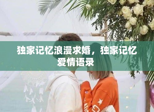 独家记忆浪漫求婚，独家记忆爱情语录 