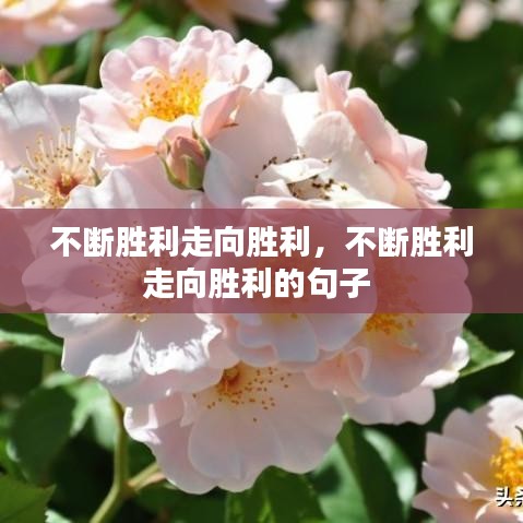死得其所 第2页