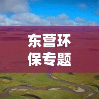 东营环保专题调整，塑造绿色生态未来之城