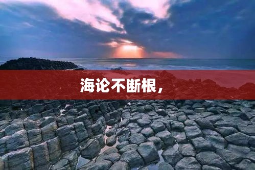 海论不断根， 
