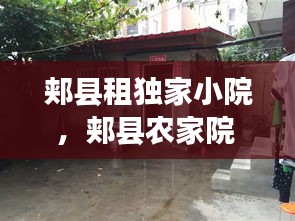 反正还淳 第2页