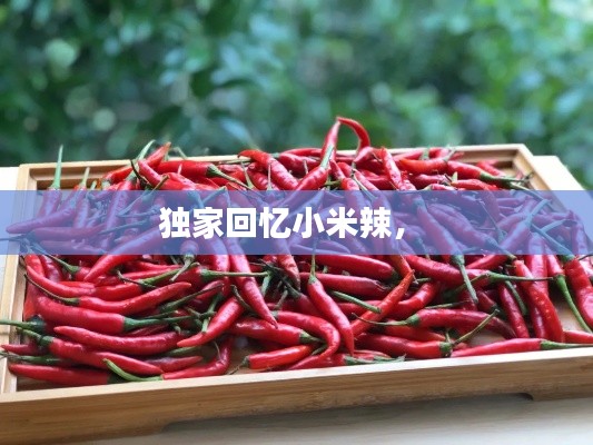 独家回忆小米辣， 