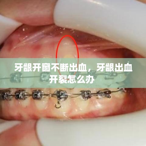 香港游戏 第110页