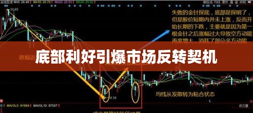 风流倜傥 第2页