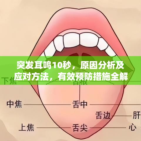 突发耳鸣10秒，原因分析及应对方法，有效预防措施全解析