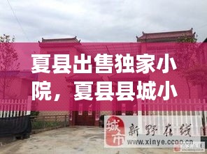 飞龙在天 第2页