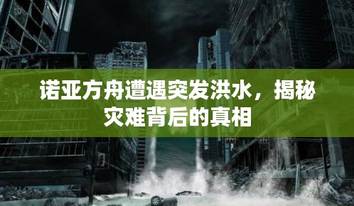一花独放 第2页