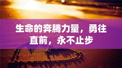 乌鸟之情 第2页