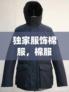 母以子贵 第2页