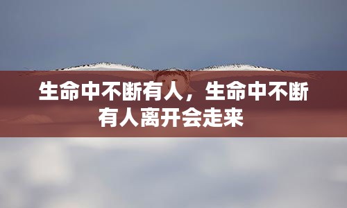 鸡飞狗跳 第2页