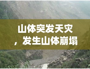 飞鸟惊蛇 第2页
