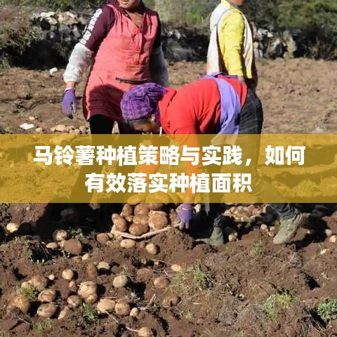 蚕丛鸟道 第2页