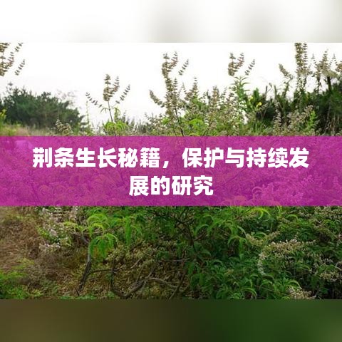 贵人多忘事 第2页