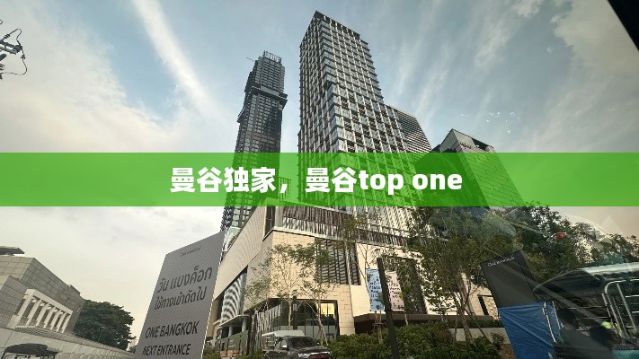秀才人情纸半张 第2页