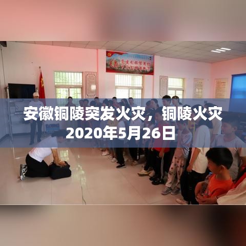硕果仅存 第2页