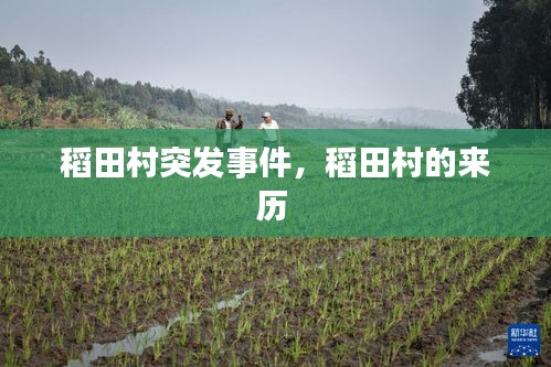 小心翼翼 第2页