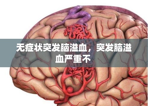 羽扇纶巾 第2页