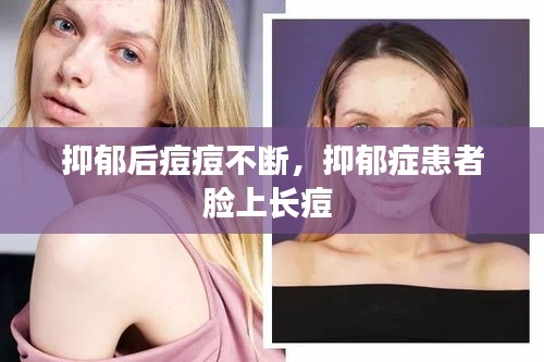择善而从 第2页