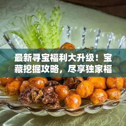 最新寻宝福利大升级！宝藏挖掘攻略，尽享独家福利！