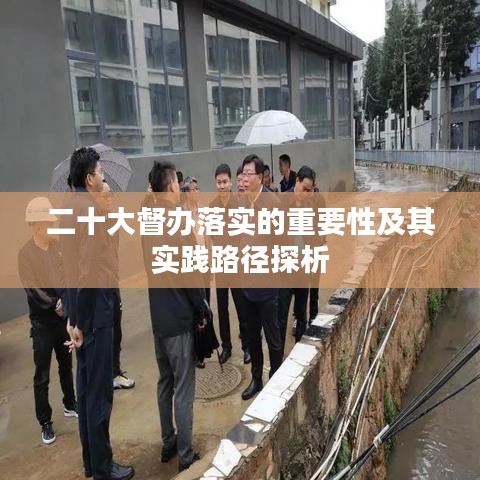 二十大督办落实的重要性及其实践路径探析
