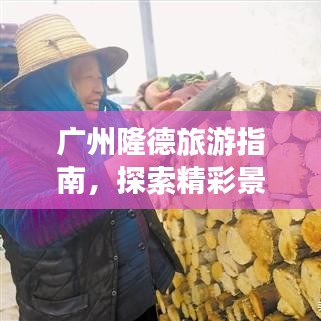 广州隆德旅游指南，探索精彩景点，尽享绝佳体验！