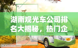 湖南观光车公司排名大揭秘，热门企业榜单，不容错过！