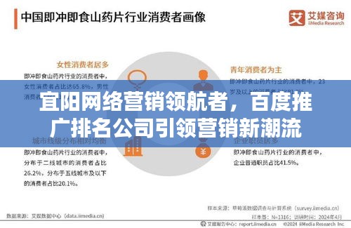 宜阳网络营销领航者，百度推广排名公司引领营销新潮流