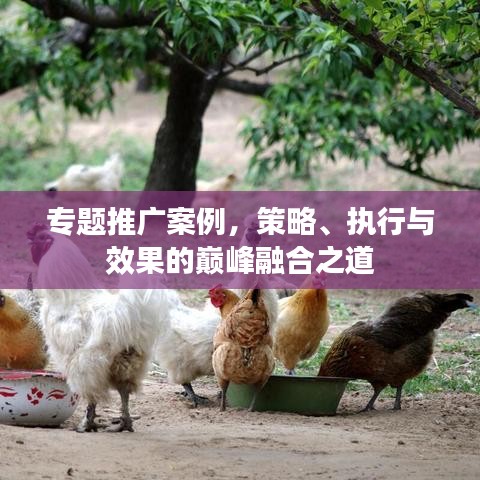 专题推广案例，策略、执行与效果的巅峰融合之道