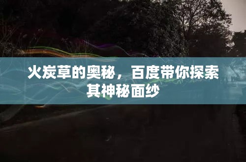 火炭草的奥秘，百度带你探索其神秘面纱