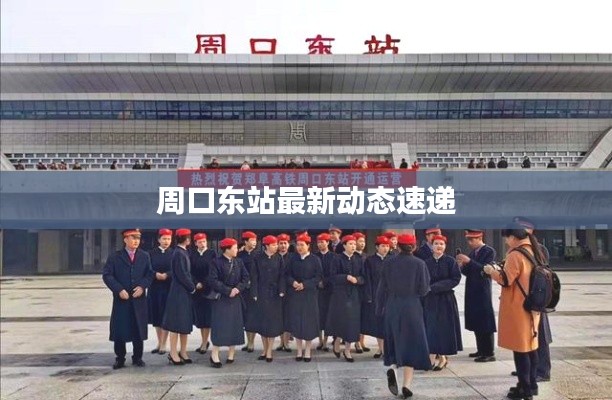 周口东站最新动态速递