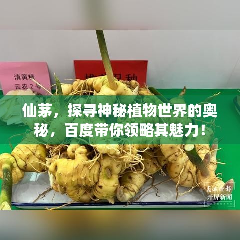 持之以恒 第2页